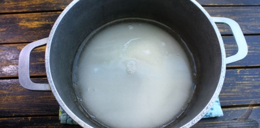Цукаты из киви