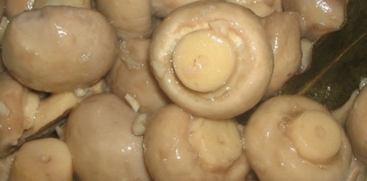 Слоеный салат с мясом "Грибная поляна"