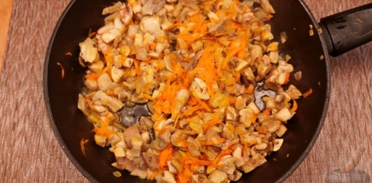 Солянка грибная